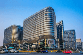 Head Office